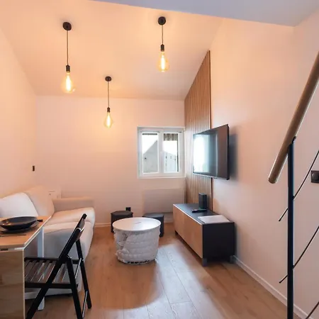 Duplex En Hyper-centre * シャンベリ
